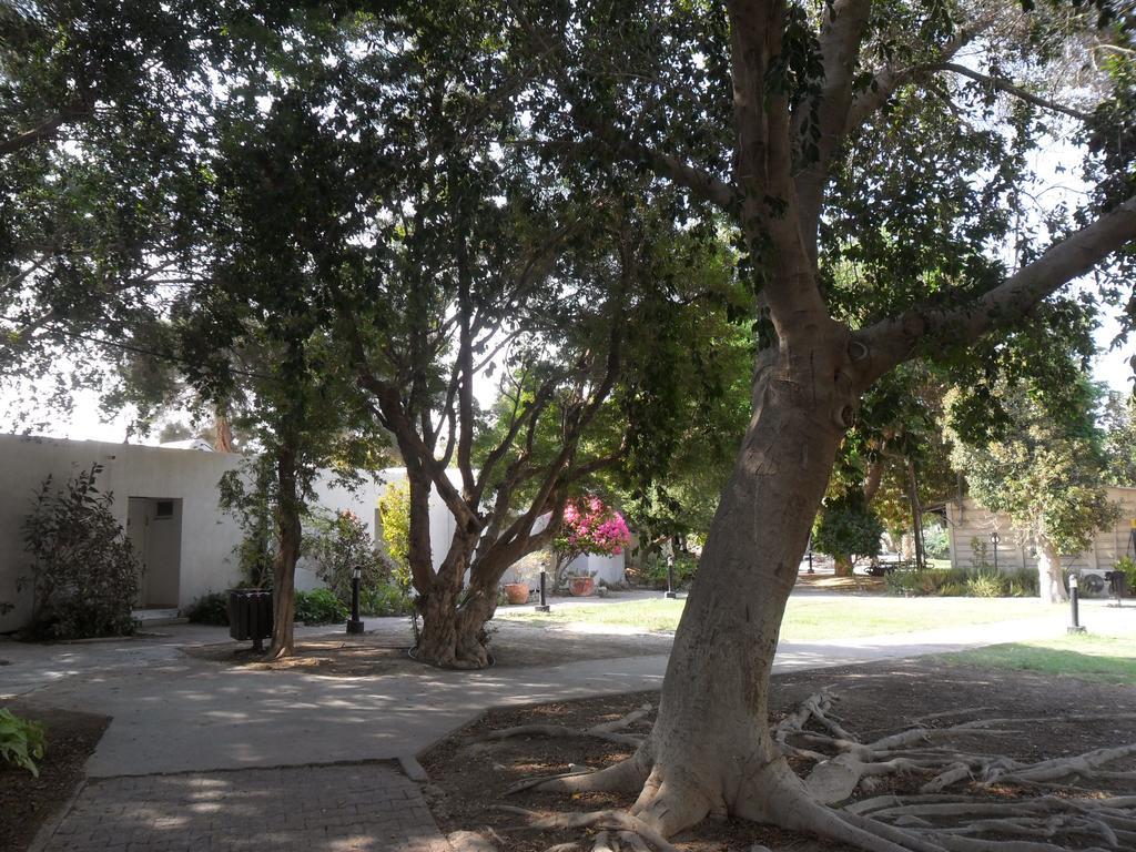 Almog Kibbutz Hotel Exterior foto