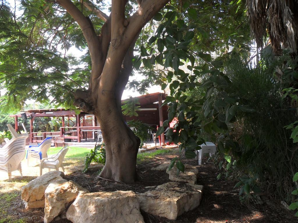 Almog Kibbutz Hotel Exterior foto